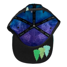 Load image into Gallery viewer, Grassroots Camproots V1 Snapback Hat
