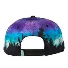 Load image into Gallery viewer, Grassroots Camproots V1 Snapback Hat
