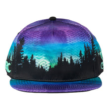 Load image into Gallery viewer, Grassroots Camproots V1 Snapback Hat
